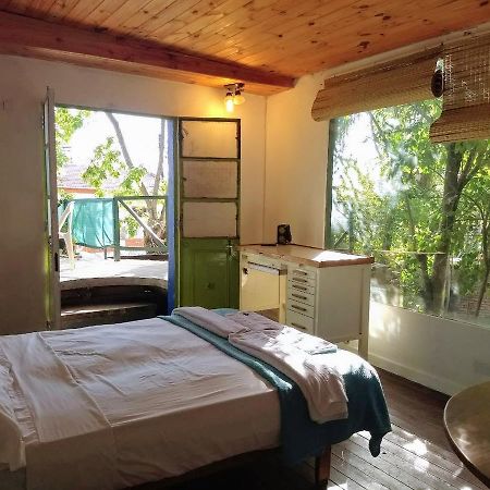 Villa Rosa Residencia De Artistas ティグレ エクステリア 写真